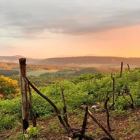 Kisvulkan Nyulontul Mencshely