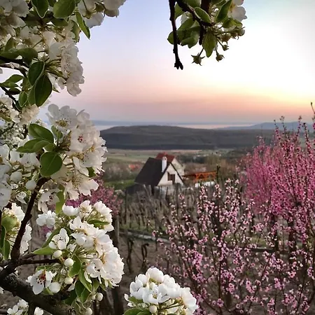 Kisvulkan Nyulontul Апартаменты *