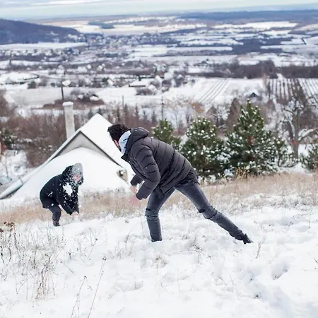 شقة Kisvulkan Nyulontul