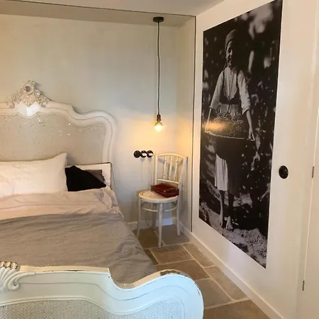 Kisvulkan Nyulontul Apartment Mencshely