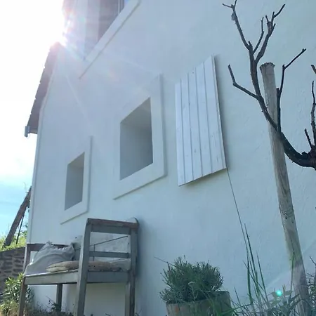 Kisvulkan Nyulontul Apartment