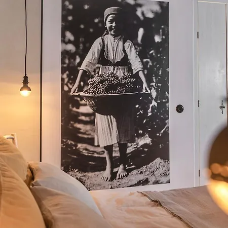 Kisvulkan Nyulontul Lägenhet *