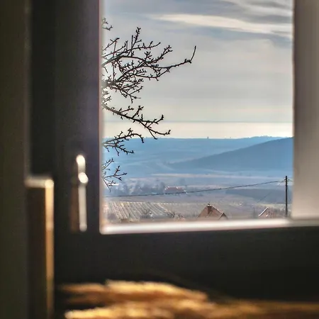 Kisvulkan Nyulontul Apartment *