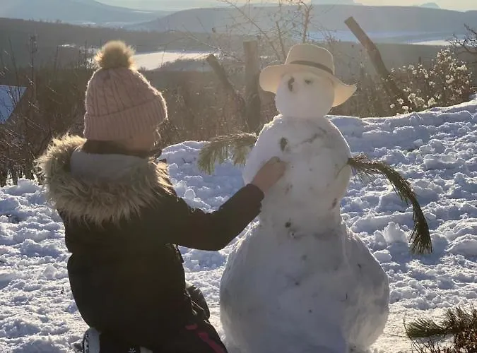 Kisvulkan Nyulontul דירה