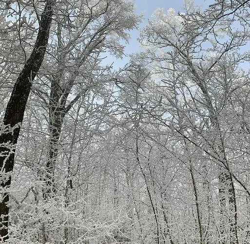 Kisvulkan Nyulontul * Mencshely