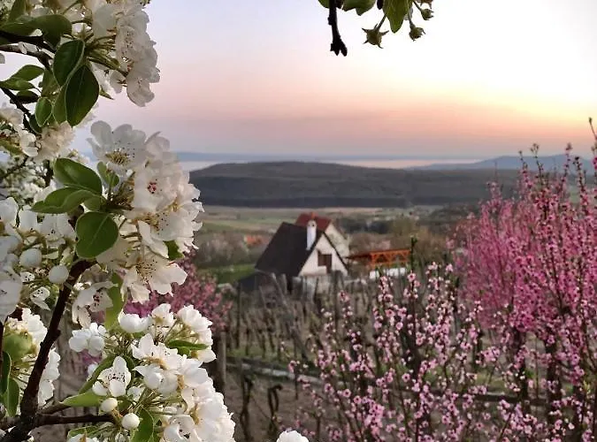 Kisvulkan Nyulontul דירה *