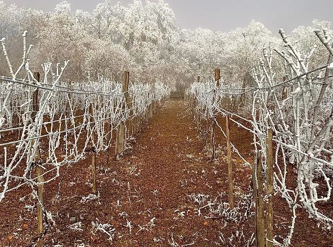 דירה Kisvulkan Nyulontul