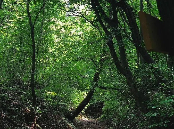 Kisvulkan Nyulontul דירה *