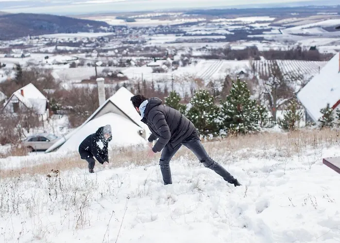 Apartment Kisvulkan Nyulontul