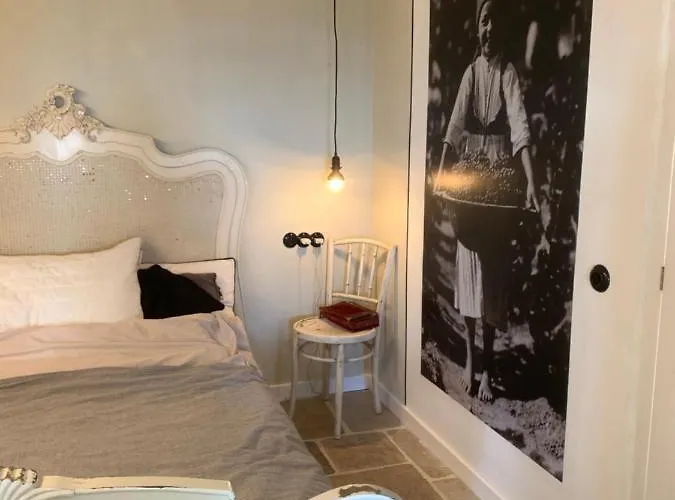 Kisvulkan Nyulontul Apartment Mencshely