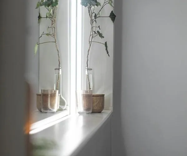 Kisvulkan Nyulontul *