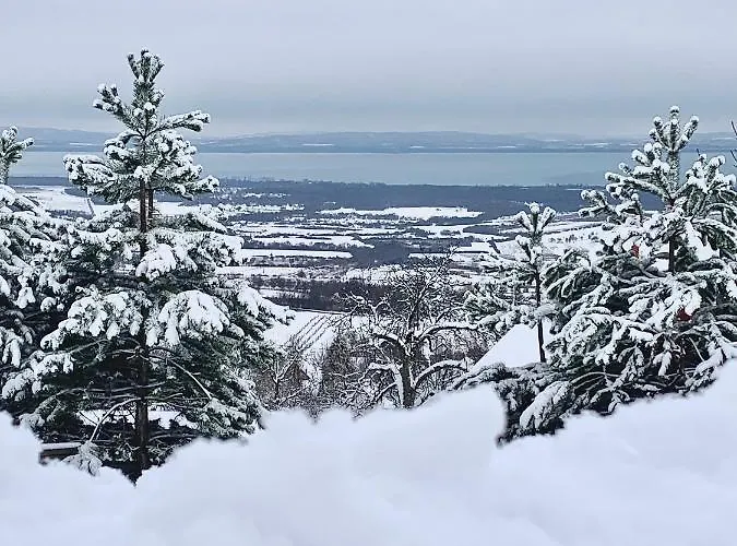 Kisvulkan Nyulontul דירה Mencshely
