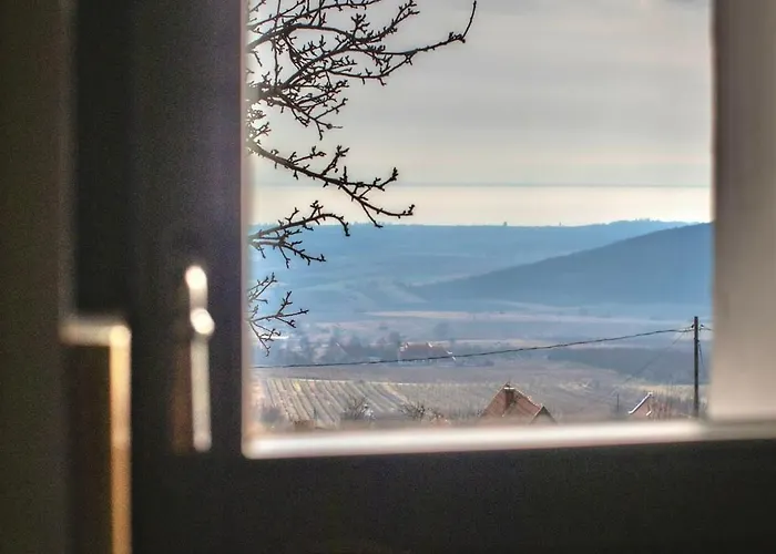 Kisvulkan Nyulontul דירה *